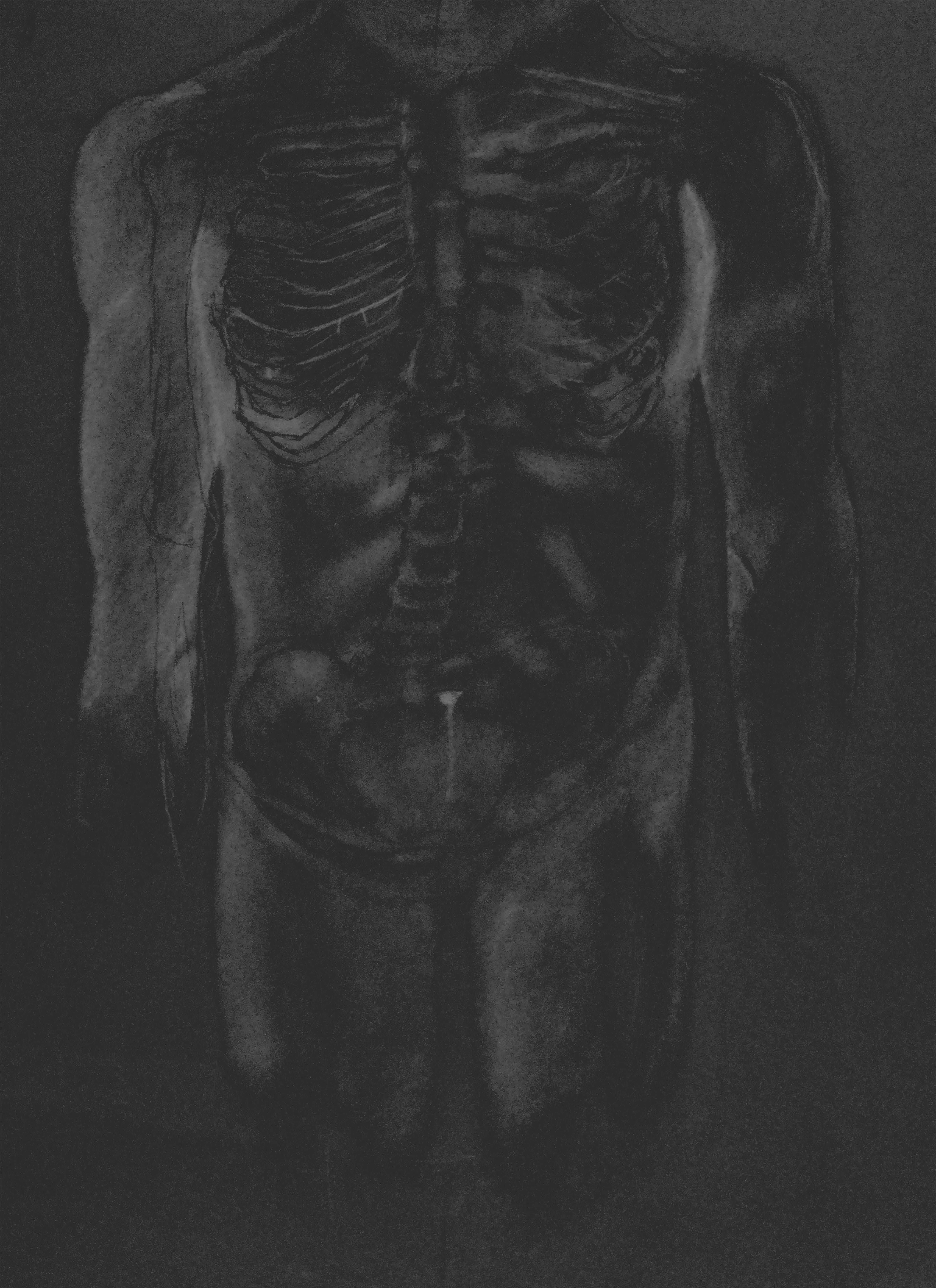 Torso Skeleton X-Ray Composite