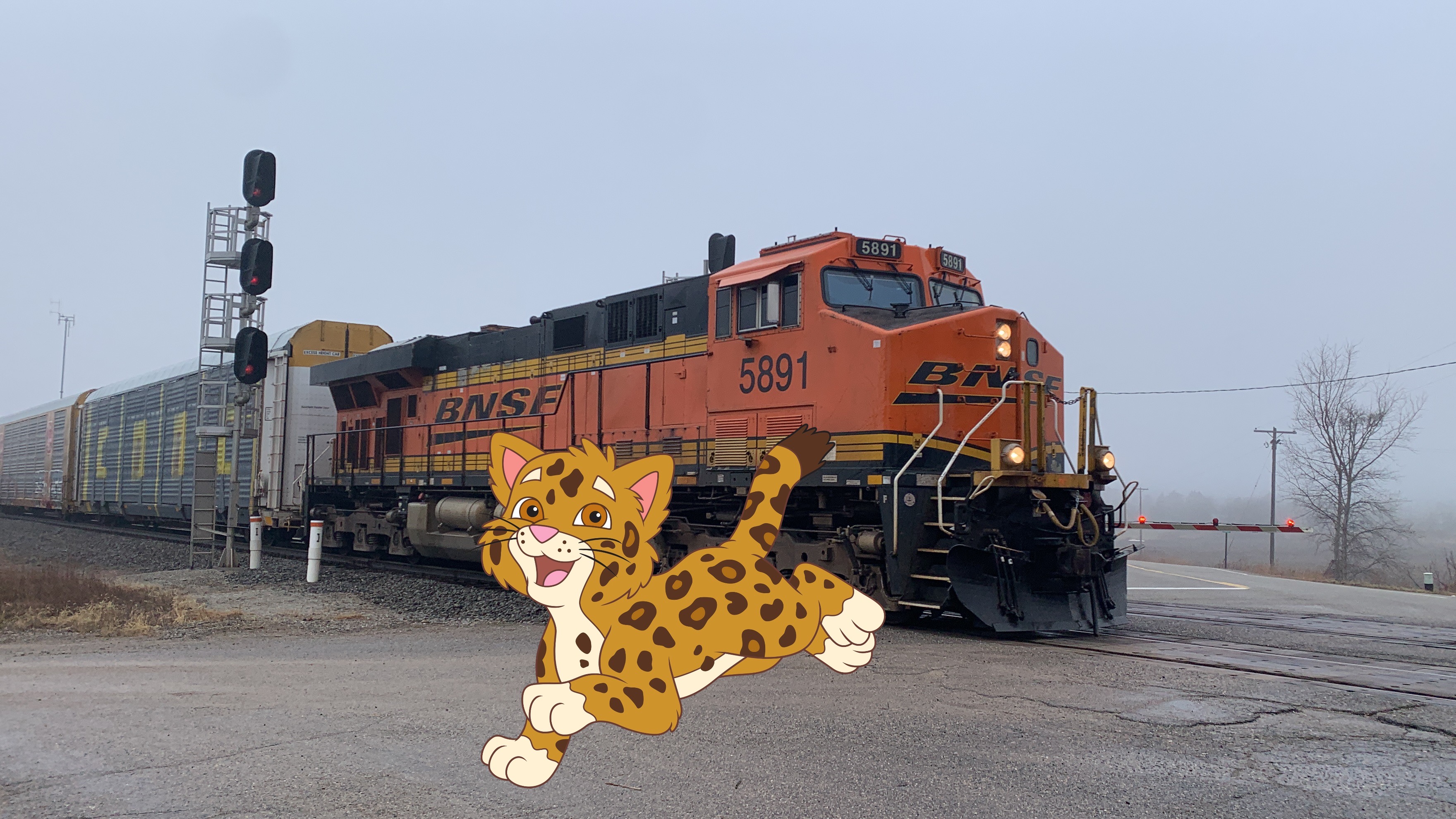 Deviantart Bnsf Train Baby Jaguar and the BNSF train by Jmidgley on DeviantArt