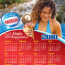 Nestle 2010 Calendar