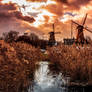 Amsterdam / Windmills