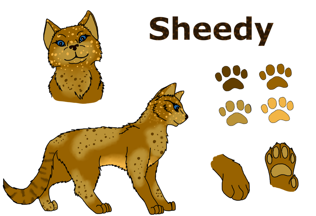 Sheedly New Charakter: Sheedy by D-Strawberry on DeviantArt