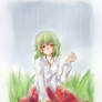...:rainy field:...