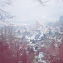 specialist