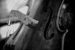 Cello by knofla