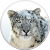 Mac OS X Snow Leopard Icon