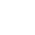 Zazzle (white, transparent) Icon mid