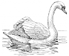 Swan (2) Icon big