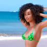 A Brazilian Girl