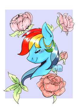 Rainbow Dash Portrait