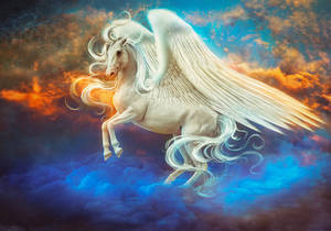 Pegasus by Irina-Ponochevnaya