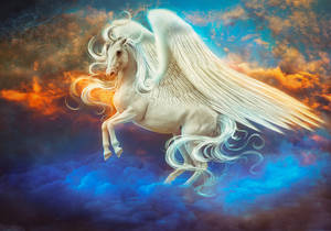 Pegasus by Irina-Ponochevnaya Pegasus by Irina-Ponochevnaya