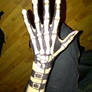 Hand drawing - Skeleton