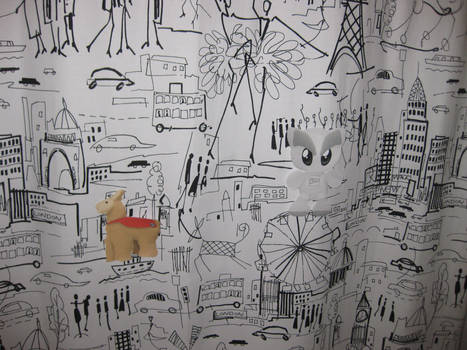 Shower Curtain Edition