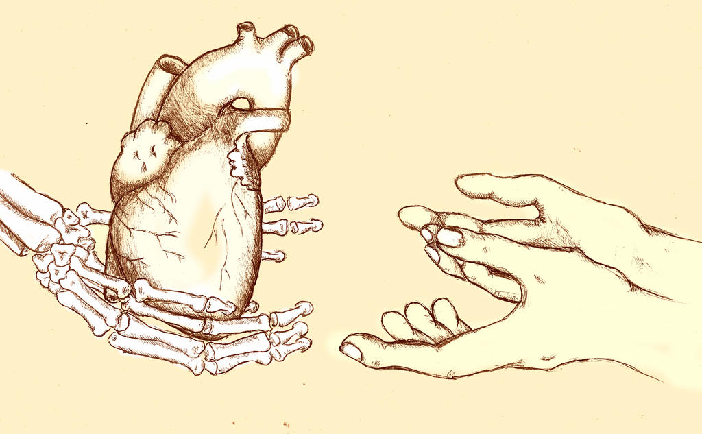 Donor by falkolia Donor by falkolia