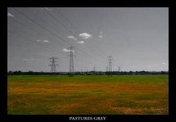 Pastures Grey