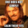 ONE DOES NOT SIMPLY