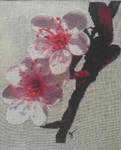 Cherry Blossoms by Yacoba
