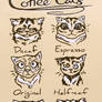 Coffee Cats