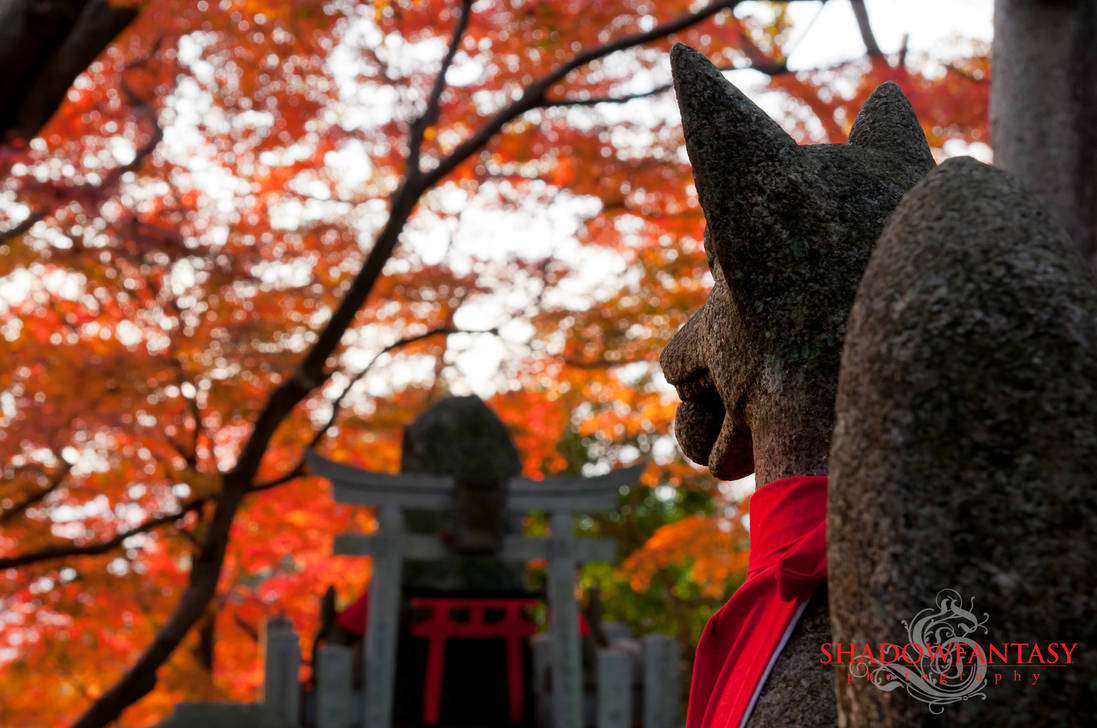 Kitsune and the Turn of Colors by Varjohaltia on DeviantArt