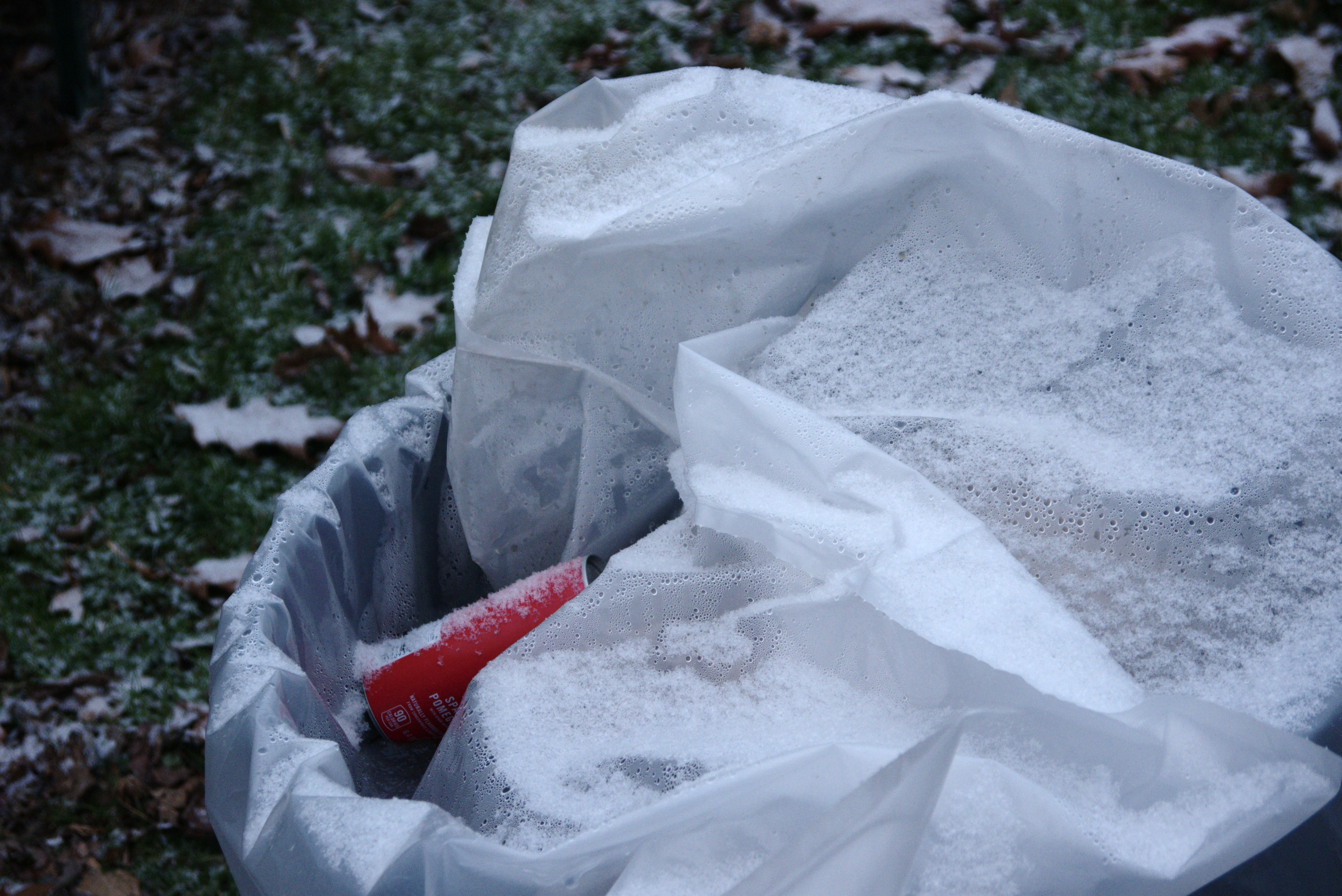 Red Can in the Trash