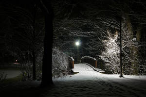 Snow-Covered Foot Bridge