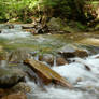 Stream at Franconia Notch State Park