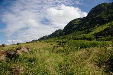 O'ahu Hills