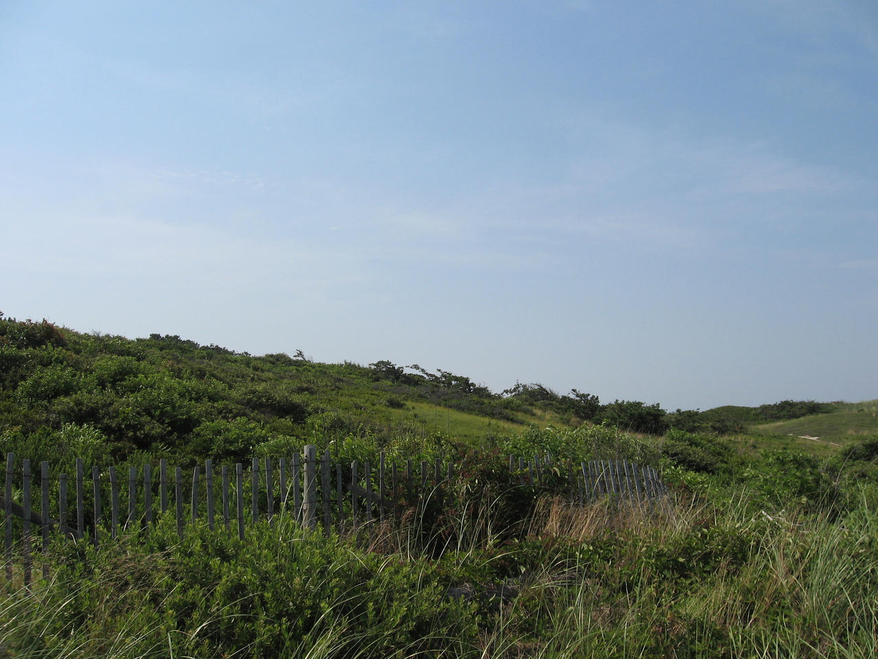 Green Dunes