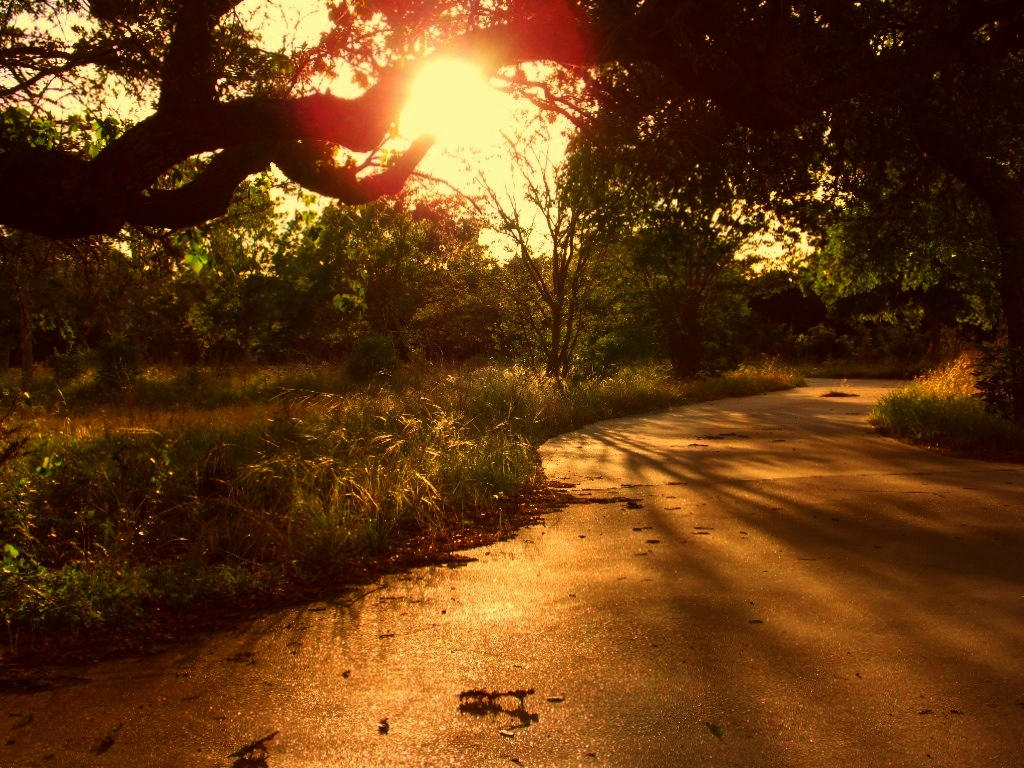 Sunset Shadow Protection Sunset Shadows by TheGerm84 on DeviantArt