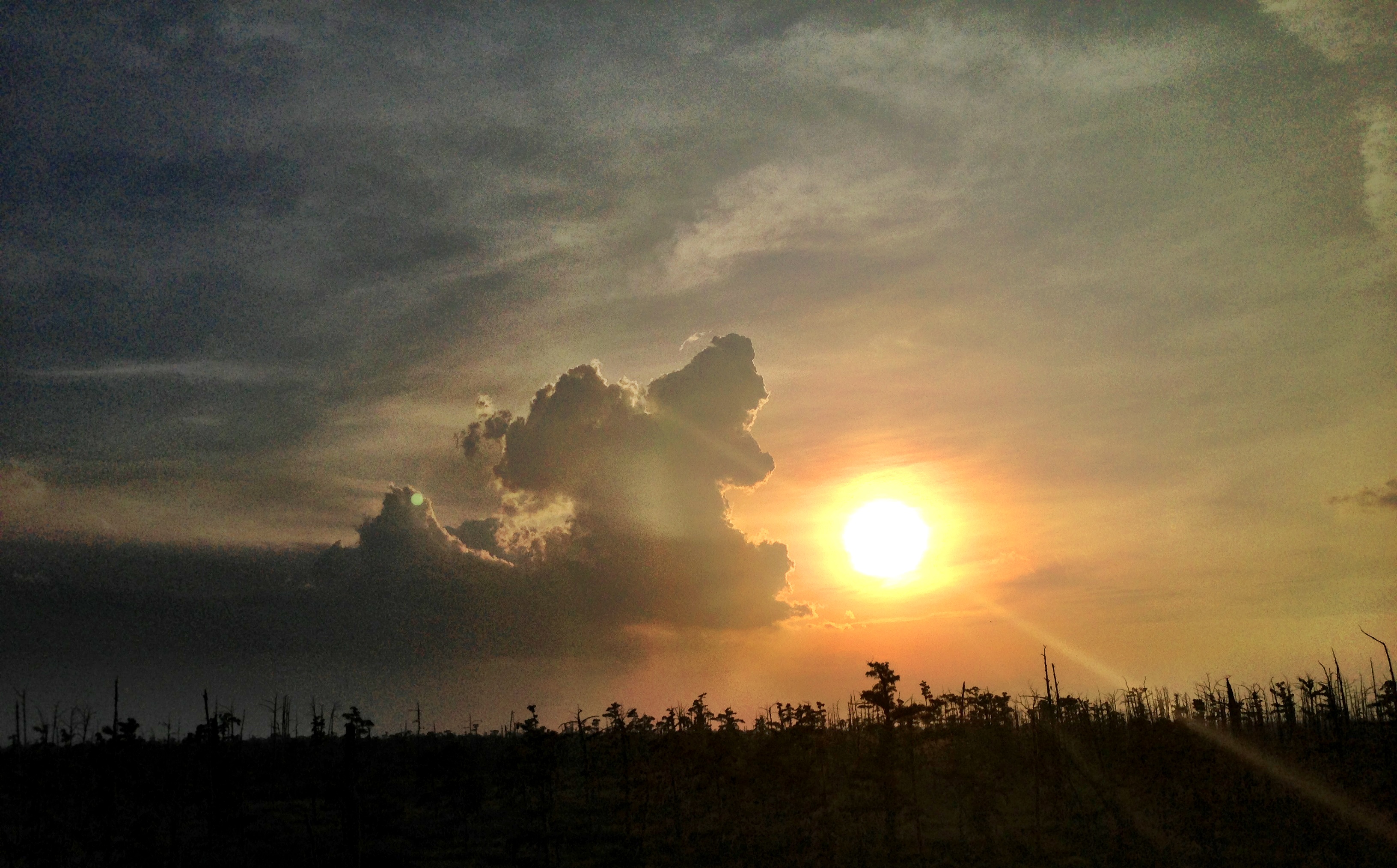 Louisiana Sunset