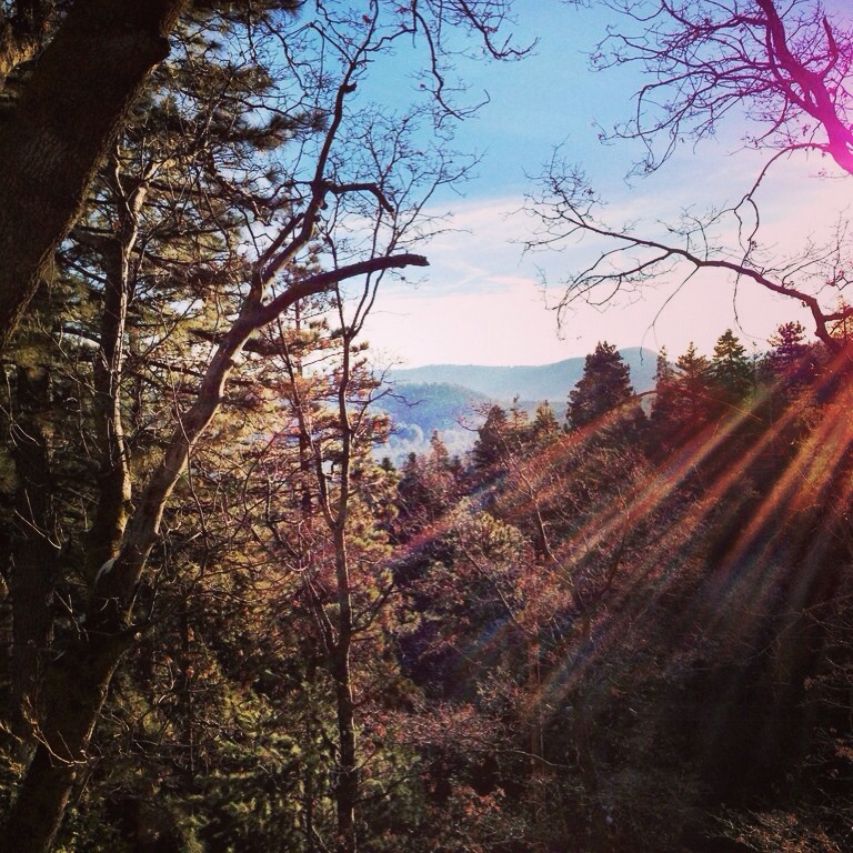 Morning in The Mountains