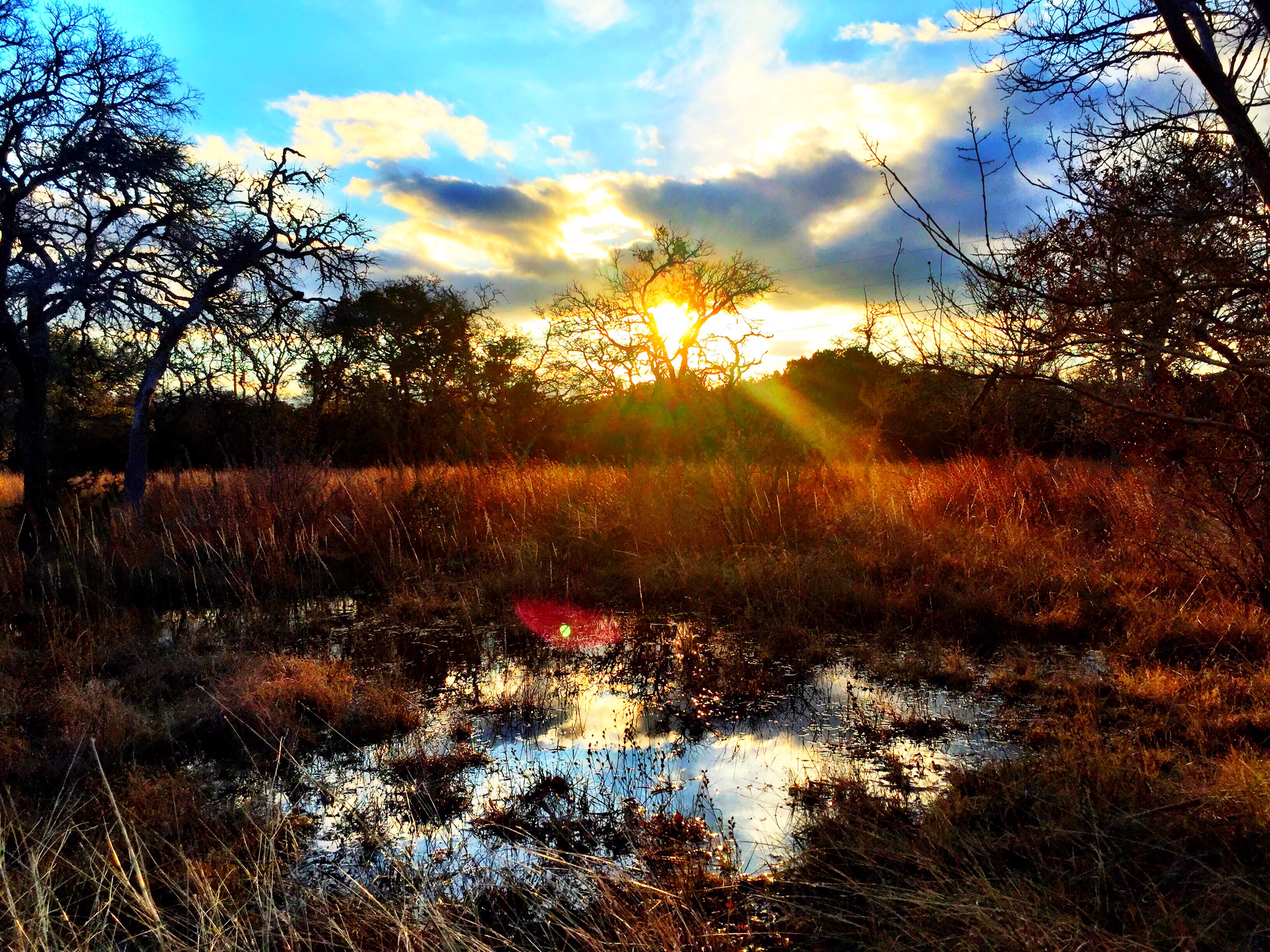 Just After The Rain