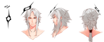 AoH: Yuki's Head by Remanoir