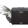 Gray and white winged amp