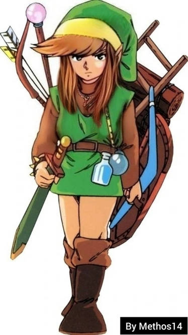 Tg Female Gerudo Link - Zelda - GIF by Methos14 on DeviantArt