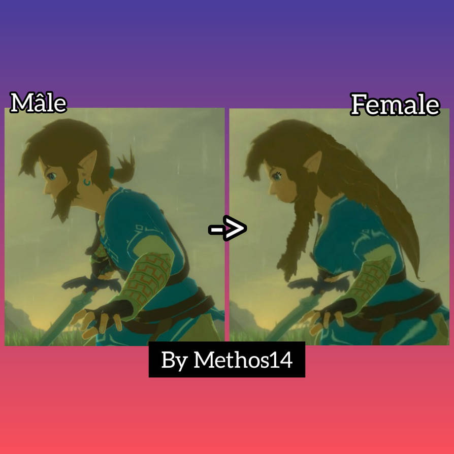Tg Female Link - Zelda - GIF by Methos14 on DeviantArt