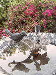 NV-Stock_BirdBath2 by NV-Stock