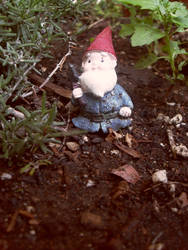 NV-Stock_Oh Bobby Gnome