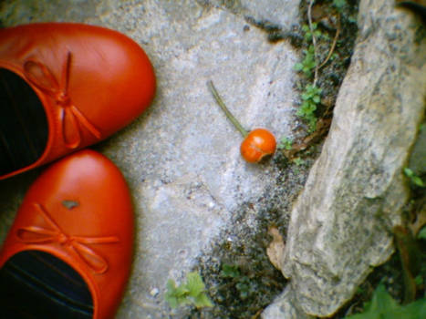 little red shoes...