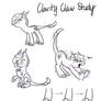 Clarity Claw Study