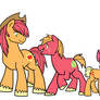 Apple Family