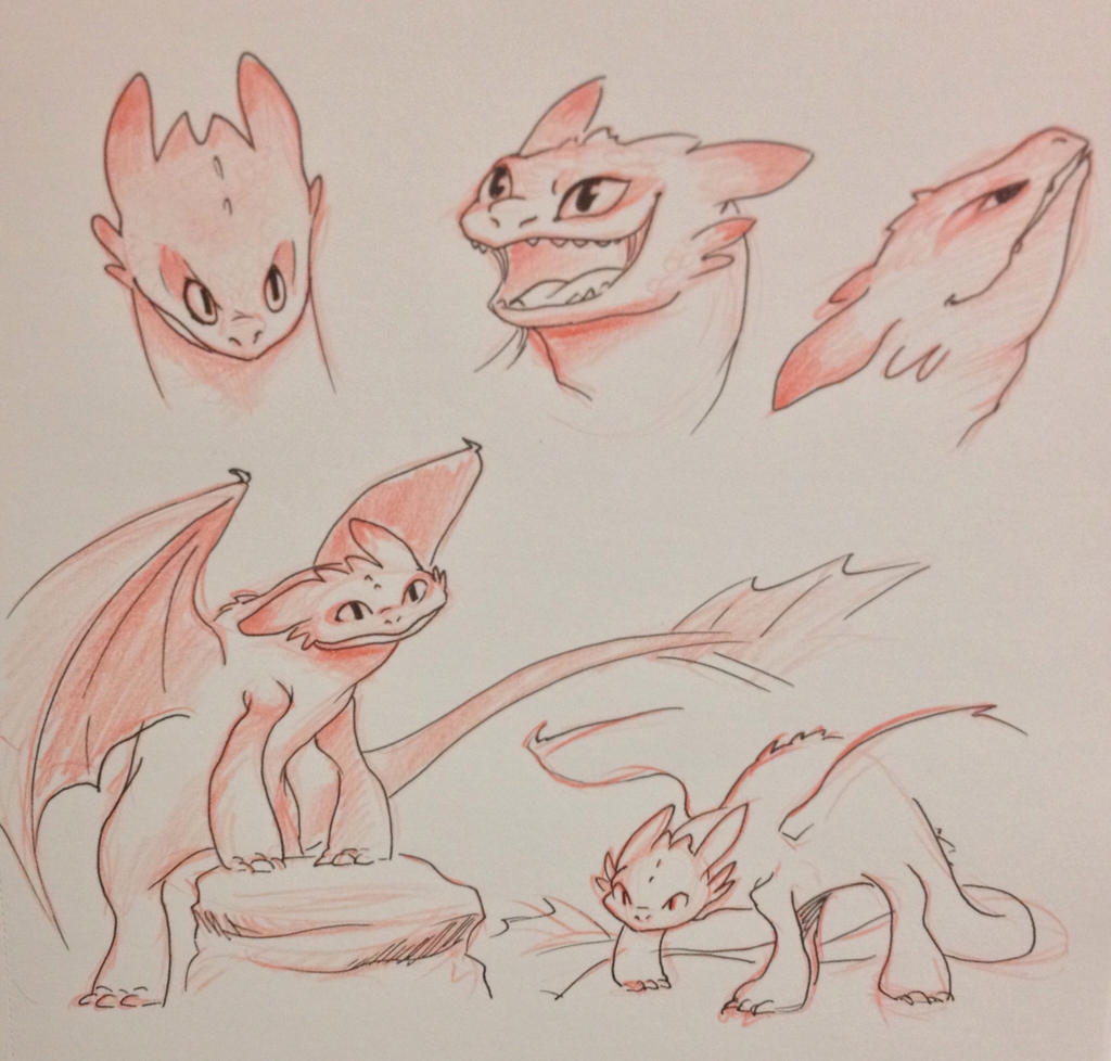 Toothless Sketches by kianamai on DeviantArt