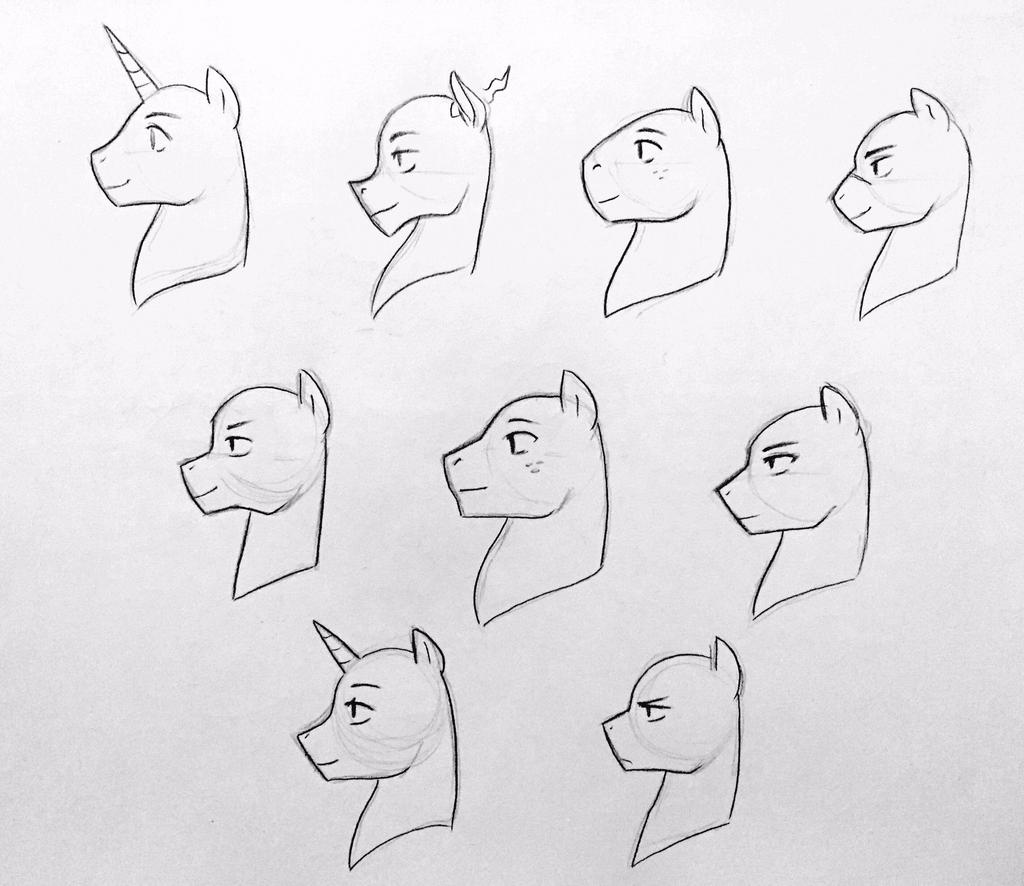 Stallion Face Shapes