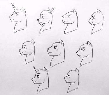 Stallion Face Shapes