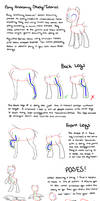 Pony Anatomy Tips/Study/Tutorial