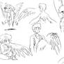 Humanized Pegasus (study)