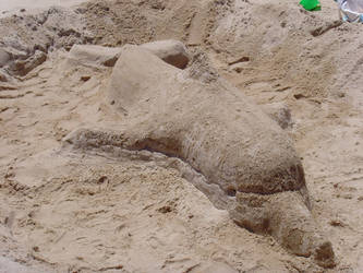 Sand Dolphin 1