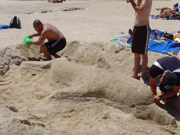 Sand Dolphin 3 -in progress 2-