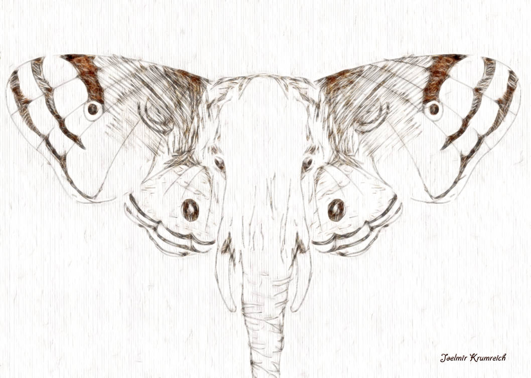 Elephantdigitalart