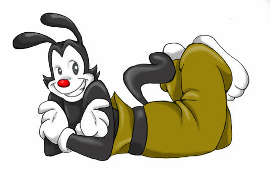 Yakko